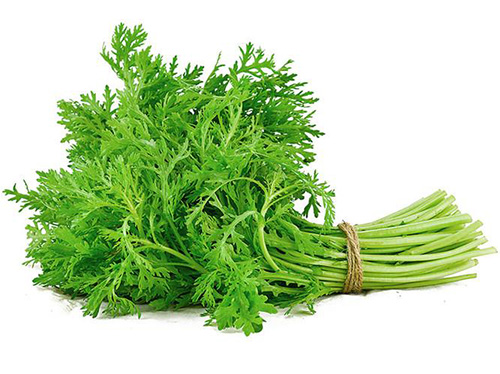 初春野菜味道香，吃法正確才健康